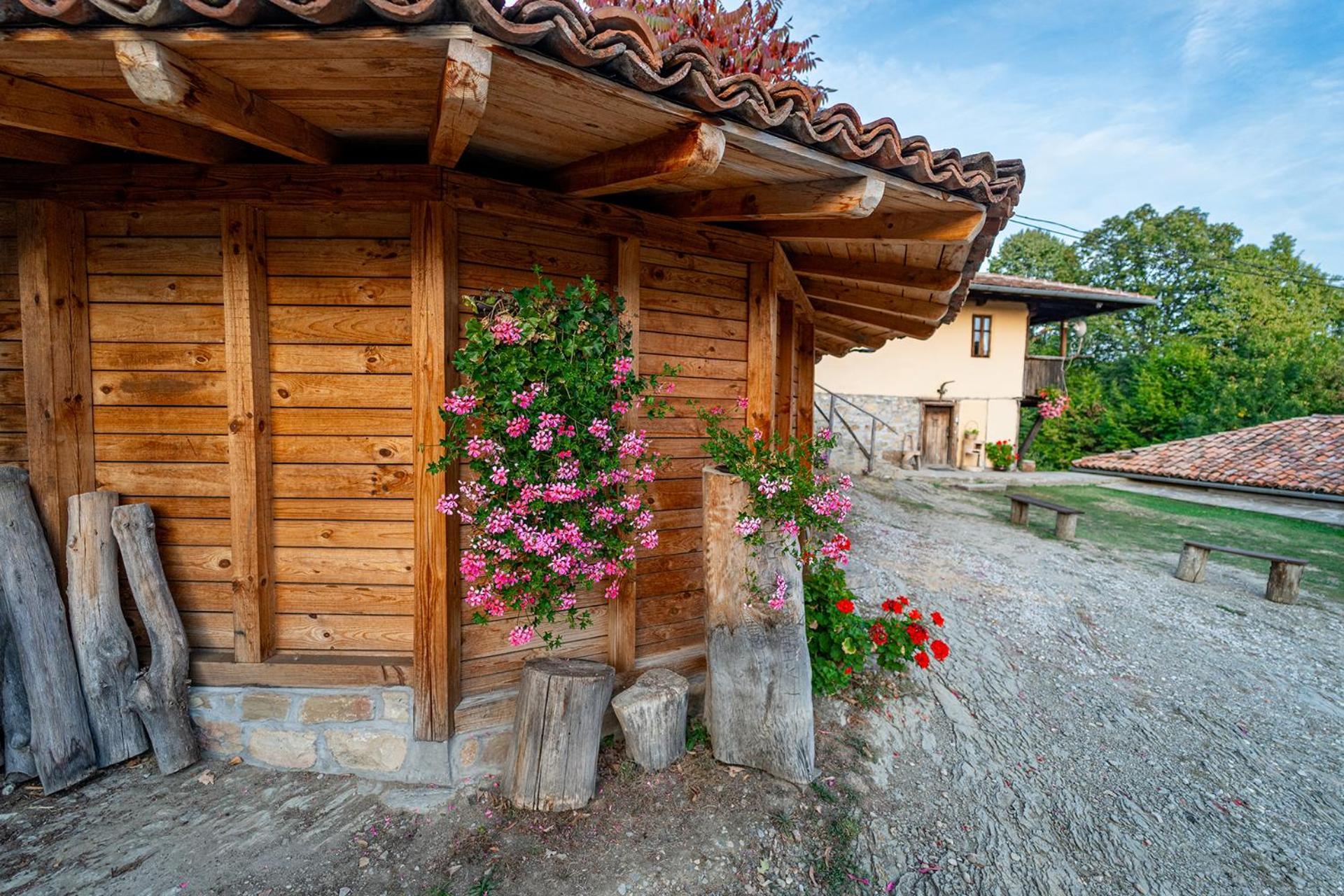 Guest House Kandaferi 2 Елена Экстерьер фото